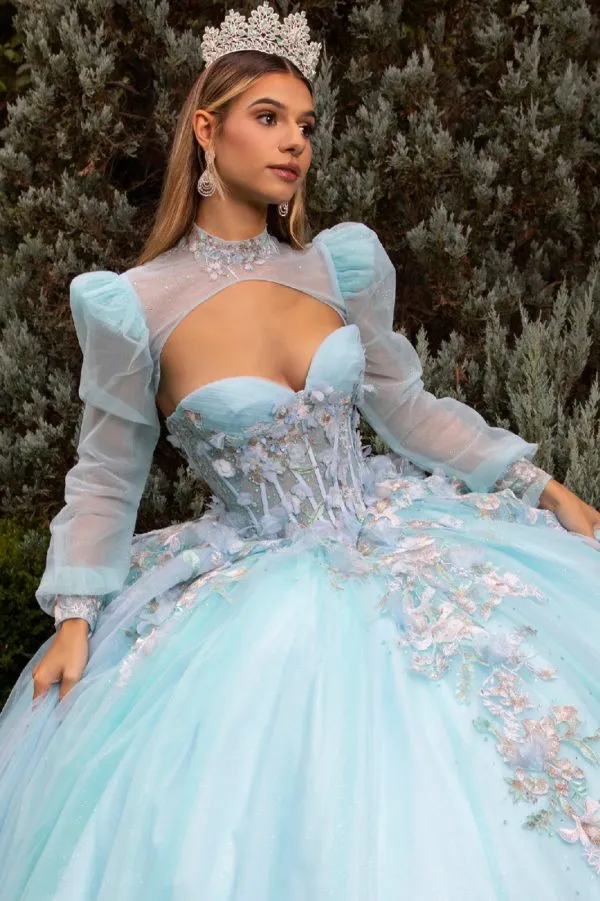 Glitter Ball Gown Sweet 16 Long Quinceanera Dress