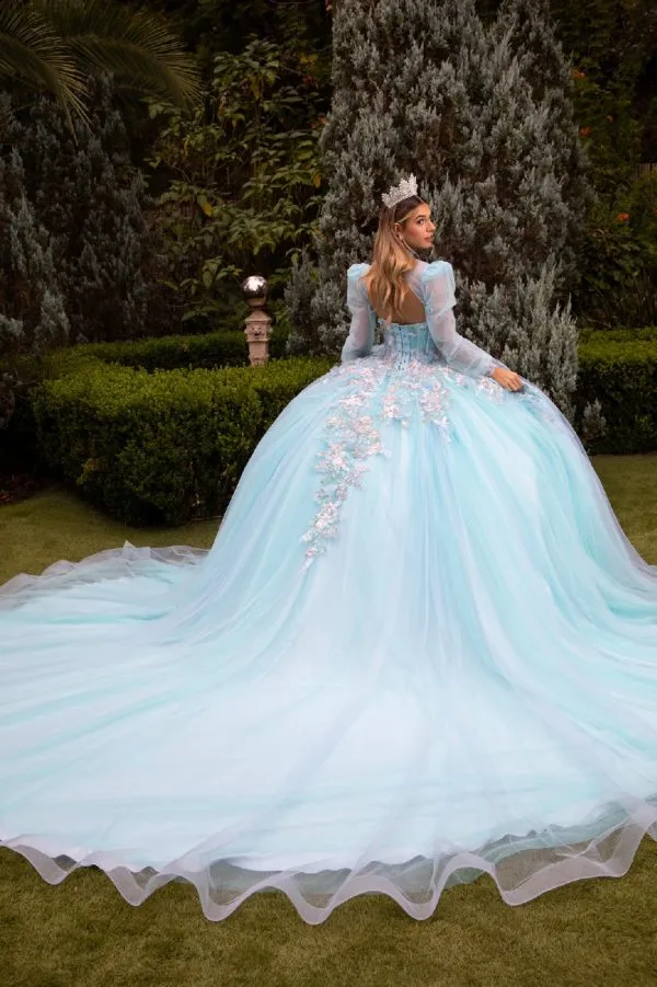 Glitter Ball Gown Sweet 16 Long Quinceanera Dress