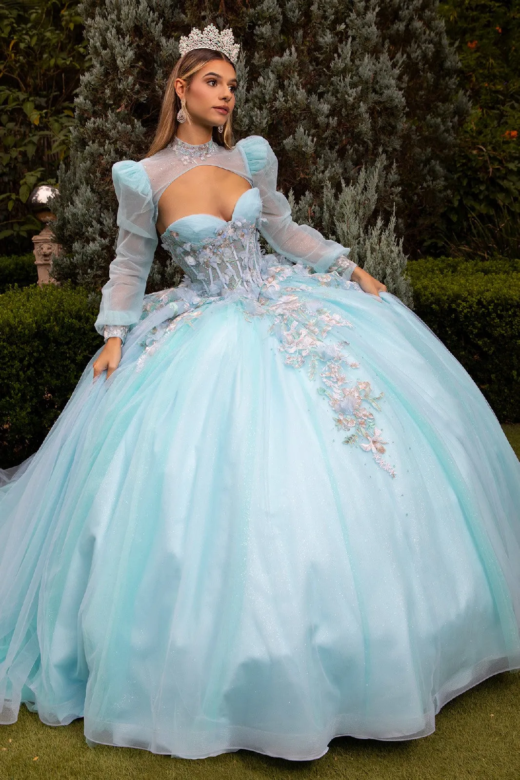 Glitter Ball Gown Sweet 16 Long Quinceanera Dress