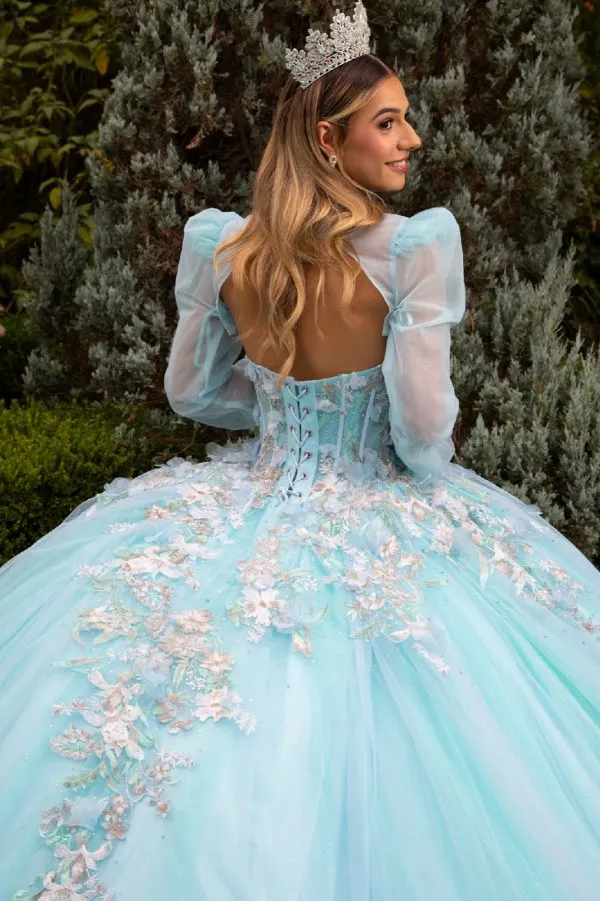 Glitter Ball Gown Sweet 16 Long Quinceanera Dress