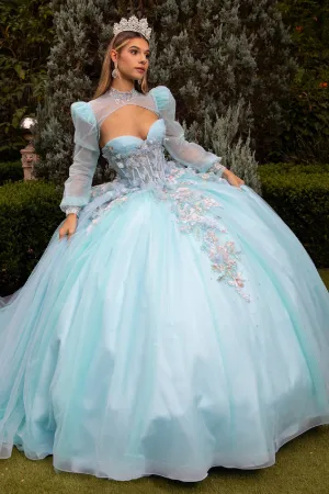 Glitter Ball Gown Sweet 16 Long Quinceanera Dress