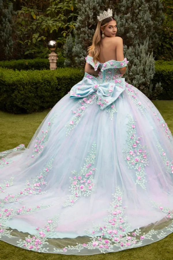 Glitter Quinceanera Dress Applique Long Ball Gown