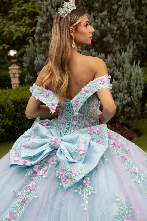 Glitter Quinceanera Dress Applique Long Ball Gown