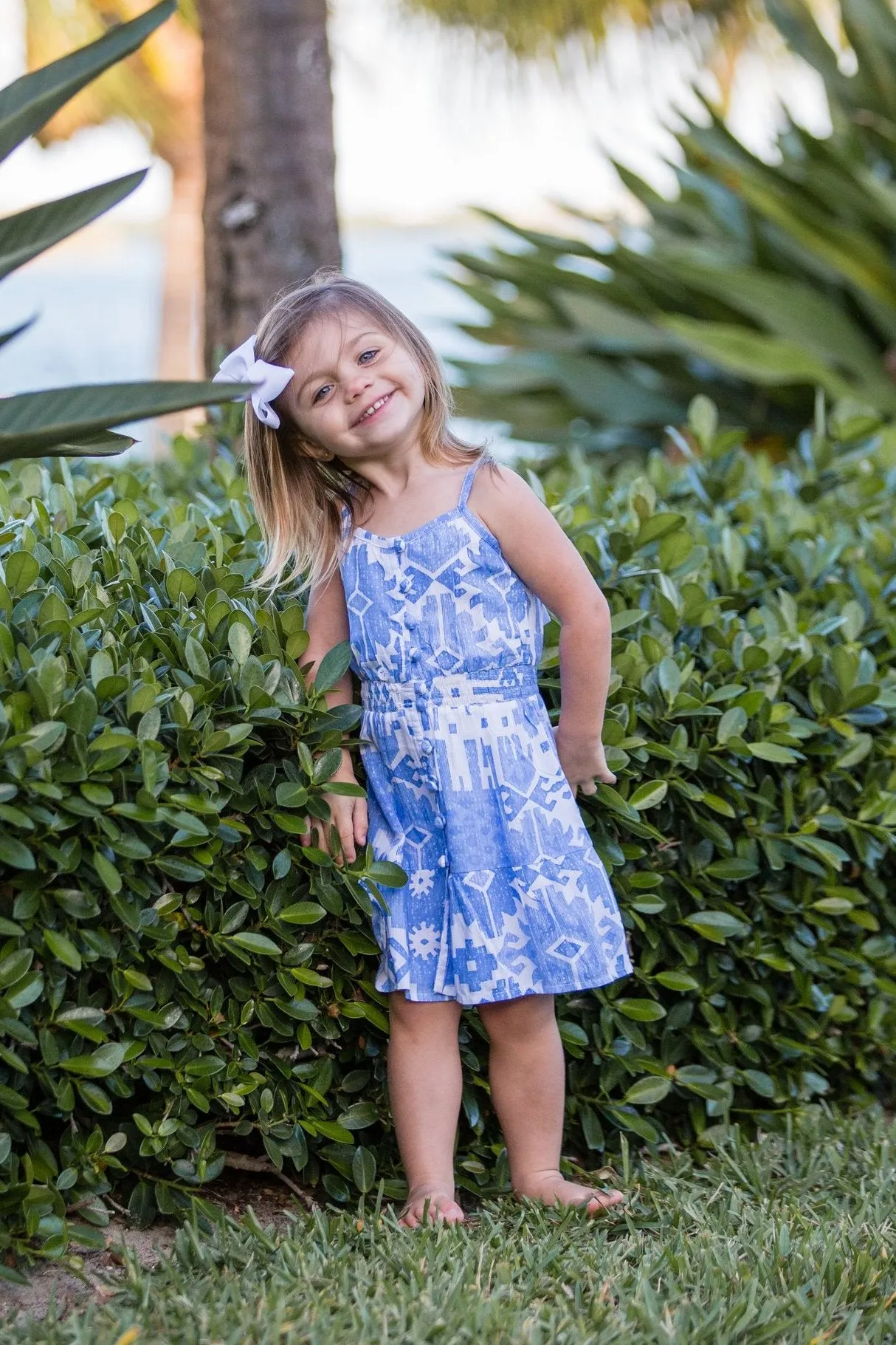 Lala Dress / Periwinkle Ikat